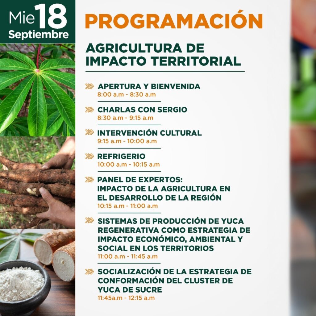 Primera jornada